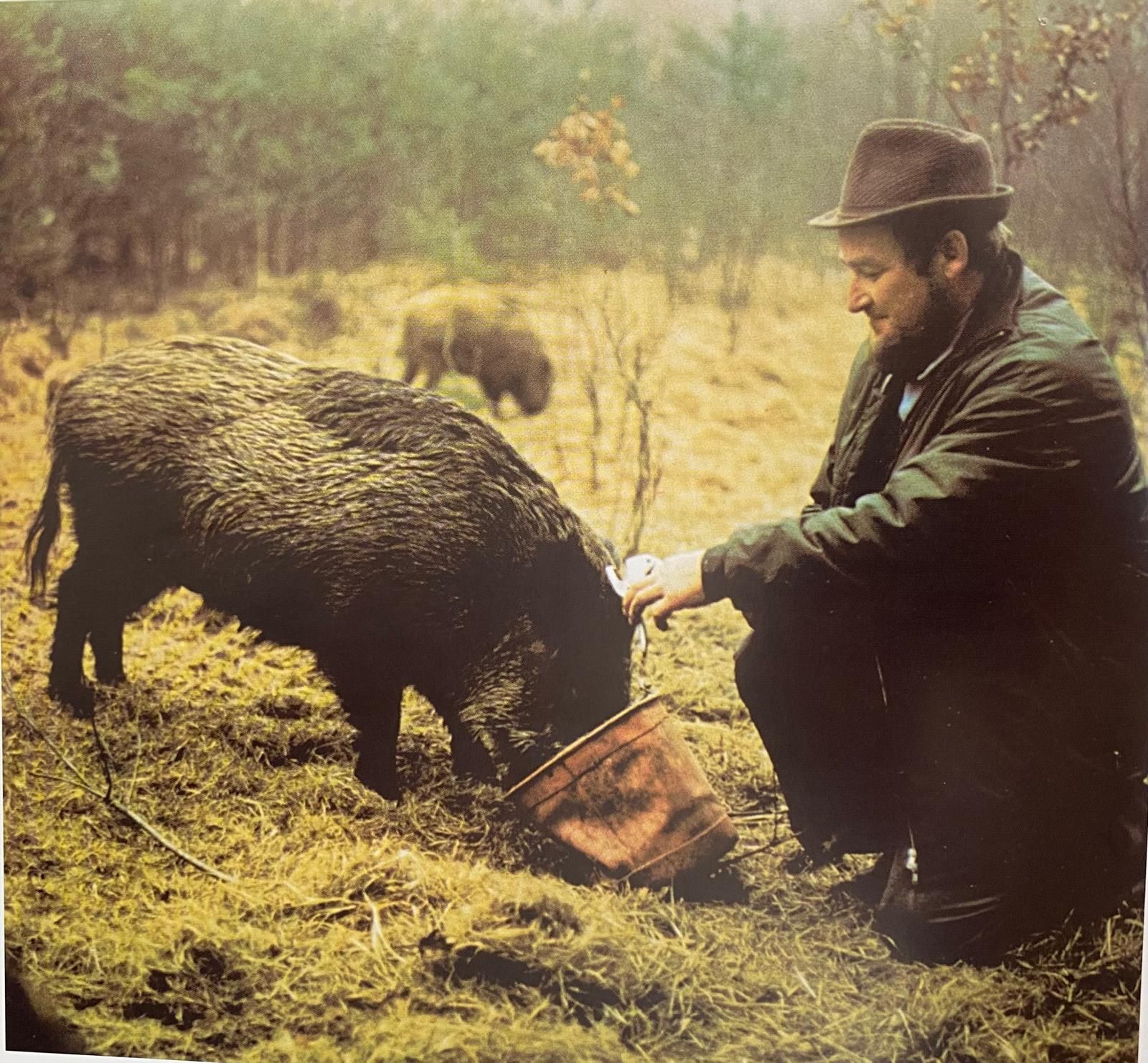 WhatsApp Image 2025-07-18 at 14.18.06.jpeg